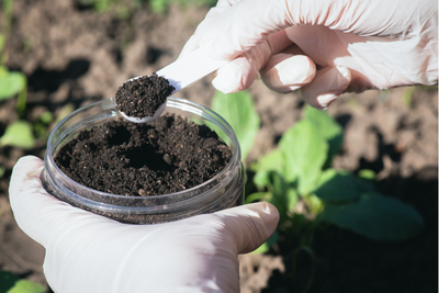 The Importance of Sustainable Soil Management for Future Food Security