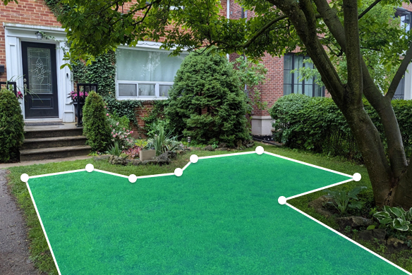 Lawn