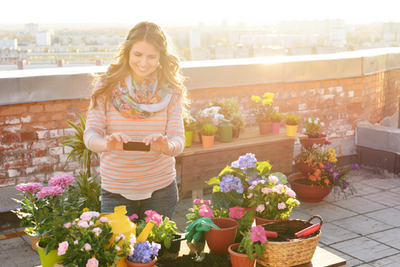 How Solar Exposure Affects Plant Watering Needs