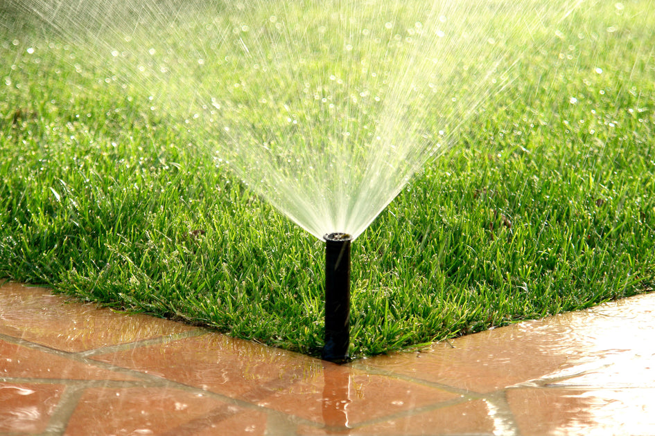 What Are the Advantages of Having an Irrigation System Installed on Yo