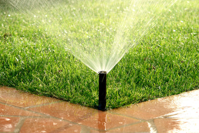 What Are the Advantages of Having an Irrigation System Installed on Your Property?