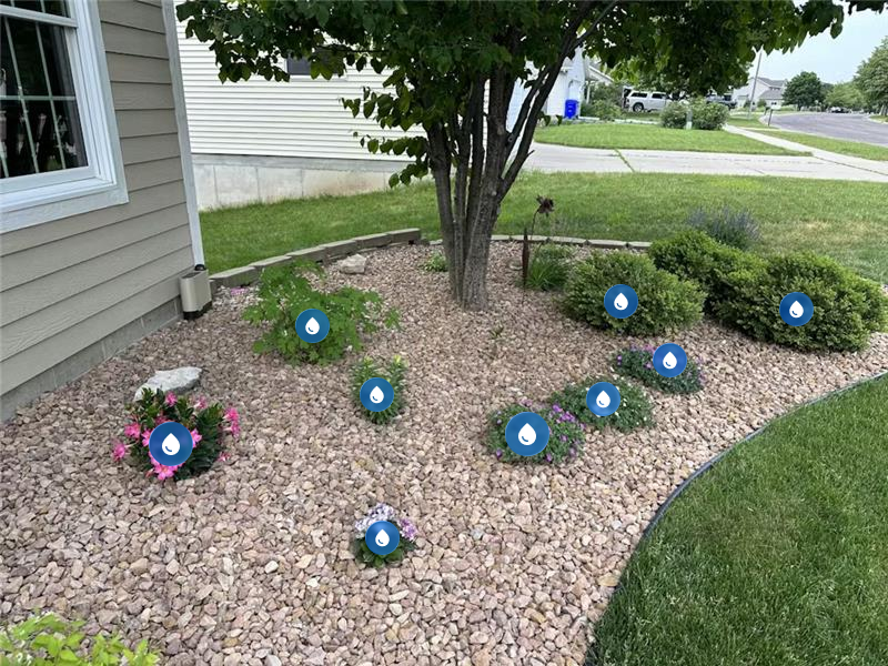 Bushes