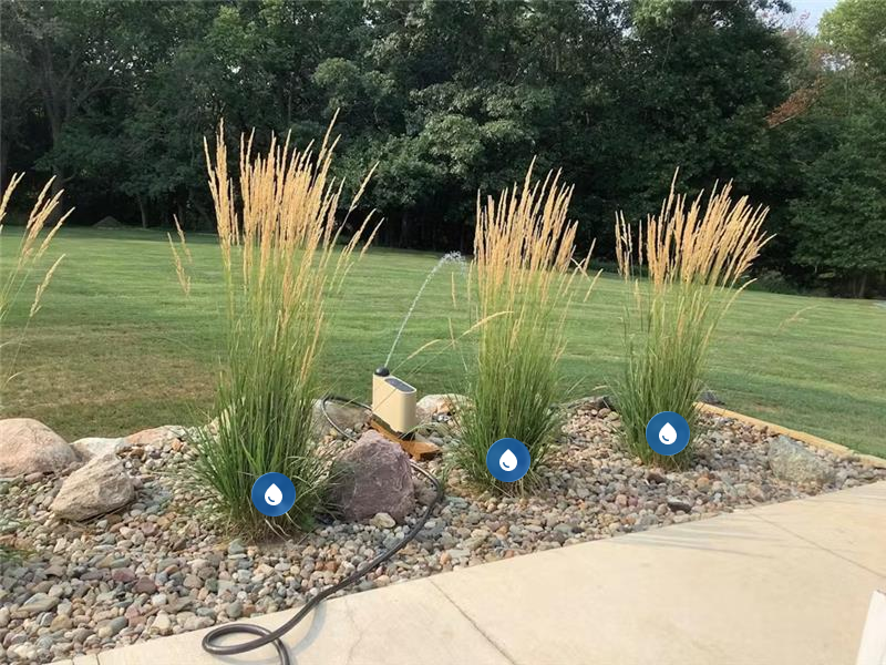 Bushes